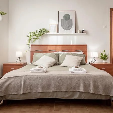 Camera Privata Con Parcheggio Gratuito * Pisa